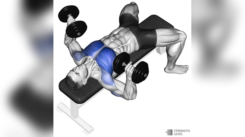 How Much is a Good Dumbbell Bench Press