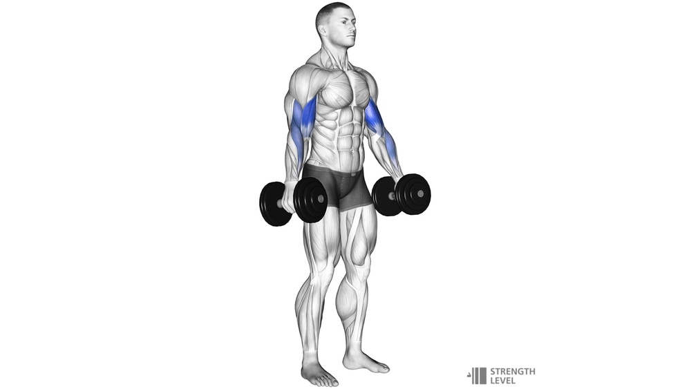 How Much is a Good Dumbbell Curl