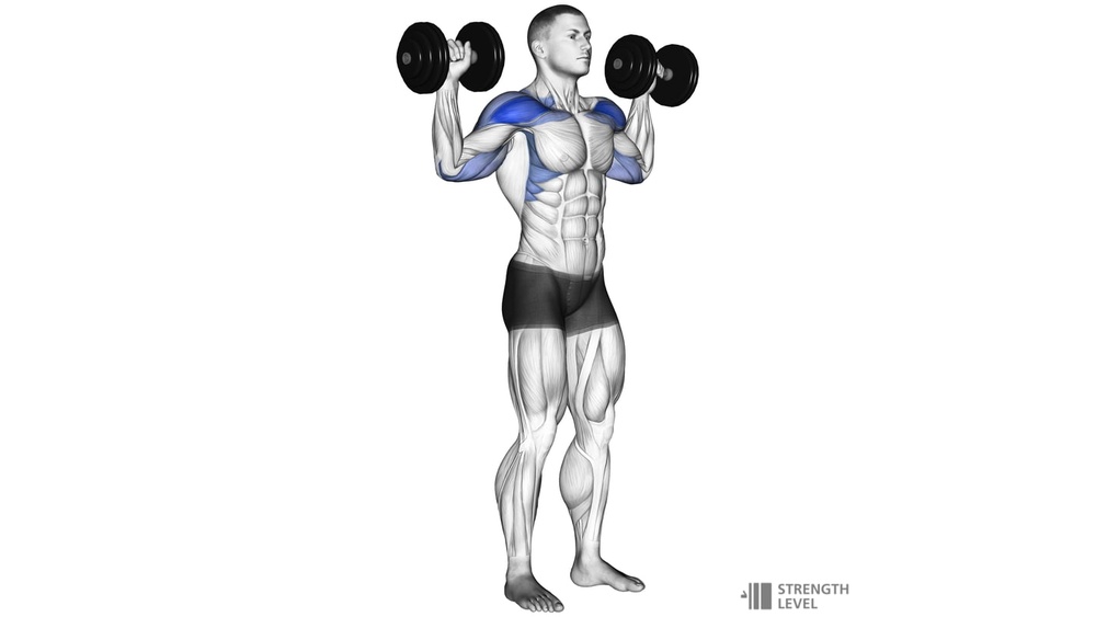 How Much Should I Be Able to Dumbbell Shoulder Press