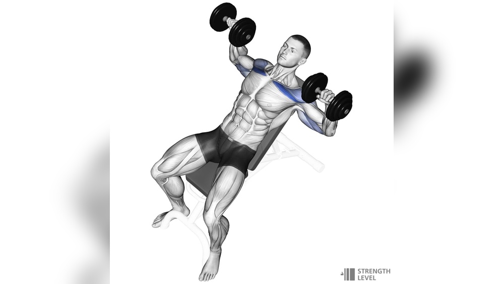 How Much Should I Be Able to Incline Dumbbell Press