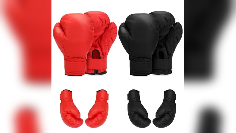 Reddit Best Boxing Gloves for Beginners