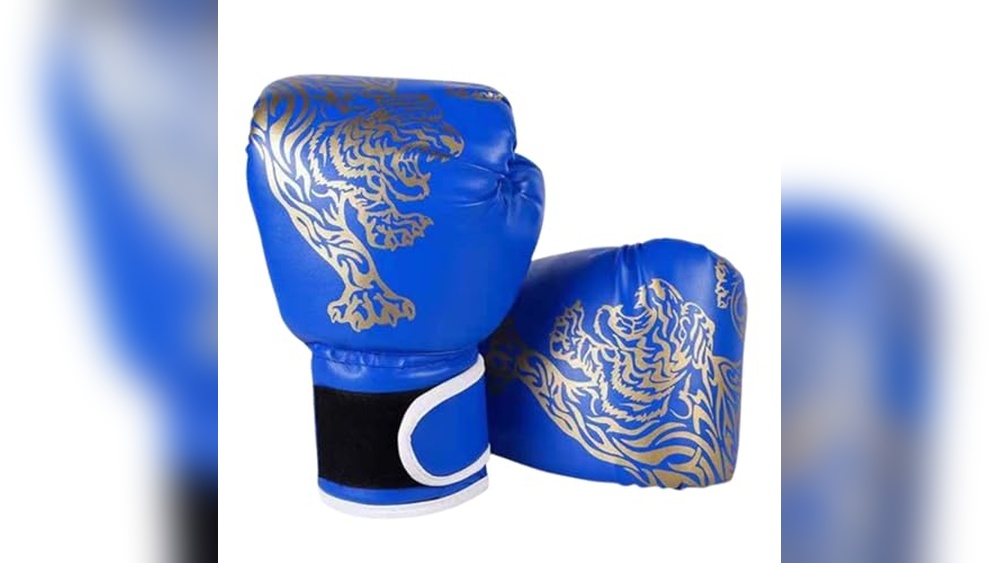 Reddit Best Boxing Gloves to Train With