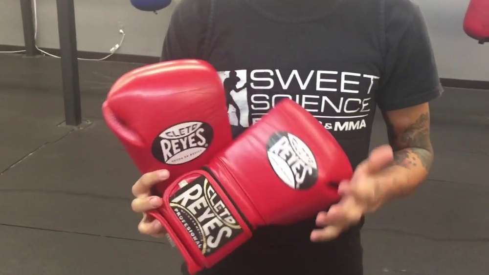 Top 5 Best Boxing Gloves