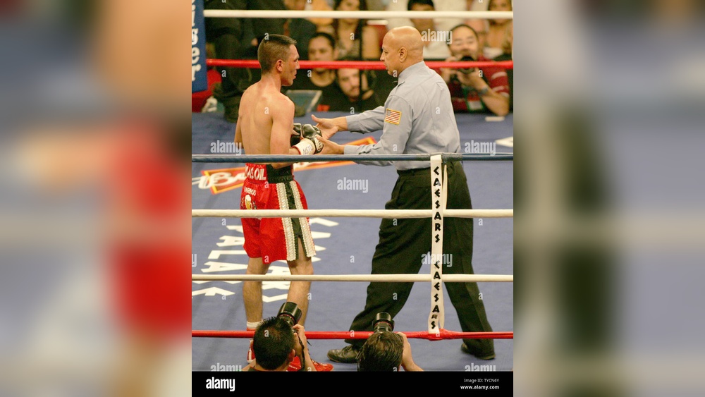 Why Do Boxing Referees Wipe Gloves